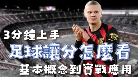 山东与河南女排交锋