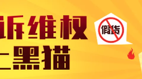诺里斯携赖斯探秘迈凯伦总部，畅谈赛车历史与赛后康复之道终极指南